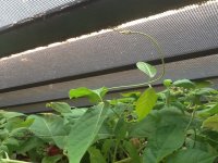 IMG_0021.JPG
