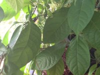 IMG_0038.JPG