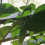 IMG_0018.jpg