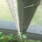 20190704_093743.jpg