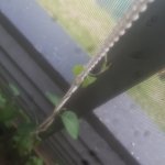 20190704_093833.jpg