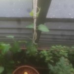 20190704_093055.jpg