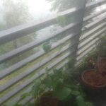 20190704_093927.jpg