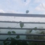 20190704_092943.jpg