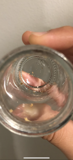 D650F084-2296-4C34-A5AE-F95CDCB6857A.png