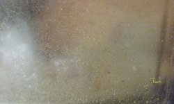 20190812_211508.jpg