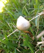IMG_20191002_133840528.jpg
