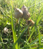 IMG_20191002_134816167.jpg