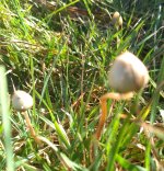 IMG_20191002_143805358.jpg