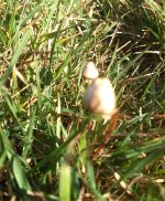 IMG_20191002_143812374.jpg