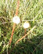 IMG_20191002_144211398.jpg