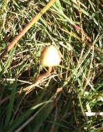 IMG_20191002_144752681.jpg