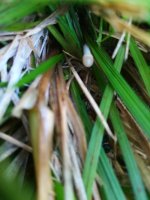 IMG_20190920_104421.jpg