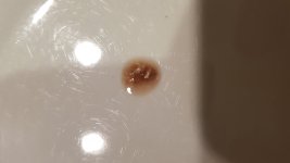 20191024_153620.jpg