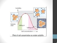 slide_8.jpg