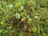 IMG_20191102_115539.jpg