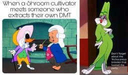 looneytoonsmeme.jpg