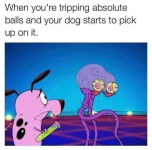 1570501834621.png