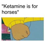 ketamine+is+for+horses.jpg