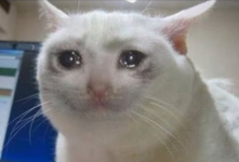 cry.png