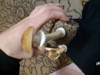 20191120_165131.jpg