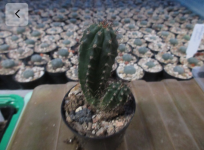 8F912EC8-7353-409B-9810-E6C66B61C404.png