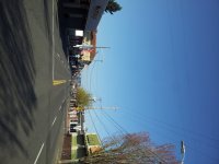 hawthorne+coronav.JPG