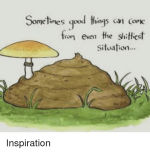 sometimes-qod-tings-an-corke-lings-can-come-r-even-41372963.png