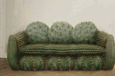 cactus+couch.jpg