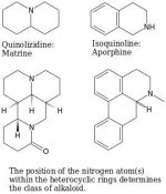 Matrine+vs+Aporphine.jpg