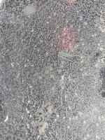 IMG_20200703_101800193.jpg