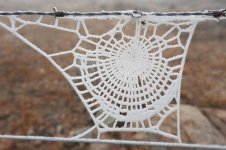 frozen+spider+web.jpg