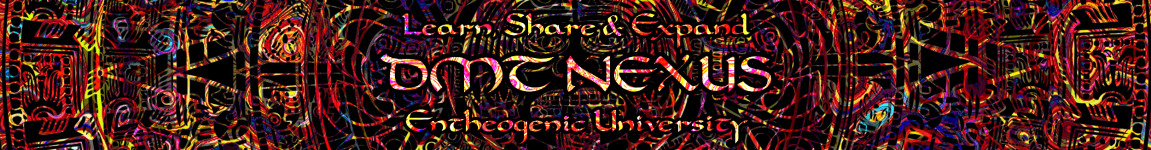 dmt+nexus+banner+2.png