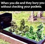 canna+grave.jpg