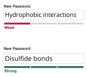 passwords+bonds.jpg