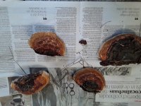 20201004_174313.jpg