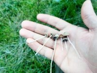 IMG_20201126_145016.jpg