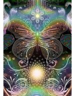 butterfly.jpg