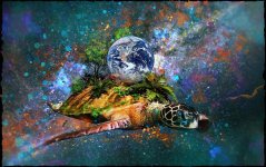 turtle.jpg