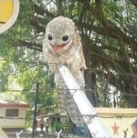 potoo03.png