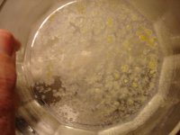 DSC09656.JPG