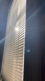 IMG_0282.jpg