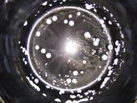 IMG_20210331_102448.jpg