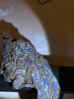 UV+Top.jpg