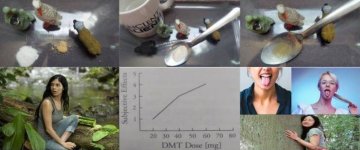 Ayahuasca+here.JPG