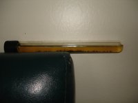 DSC09965.JPG