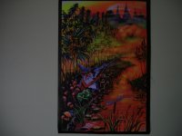 DSC00021.JPG