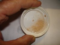 DSC00031.JPG
