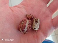 IMG_20210625_161554.jpg