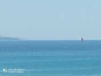 IMG_20210625_115514.jpg
